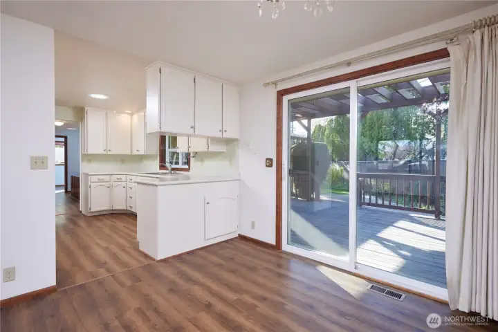 Looking into kitchen and onto back porch