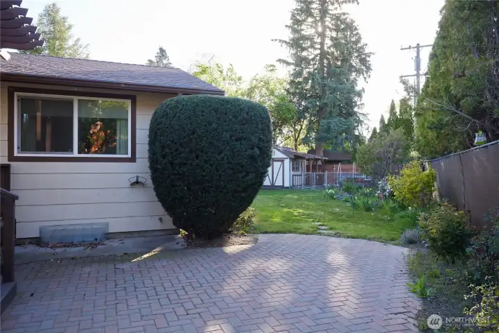 looking towards NW of yard