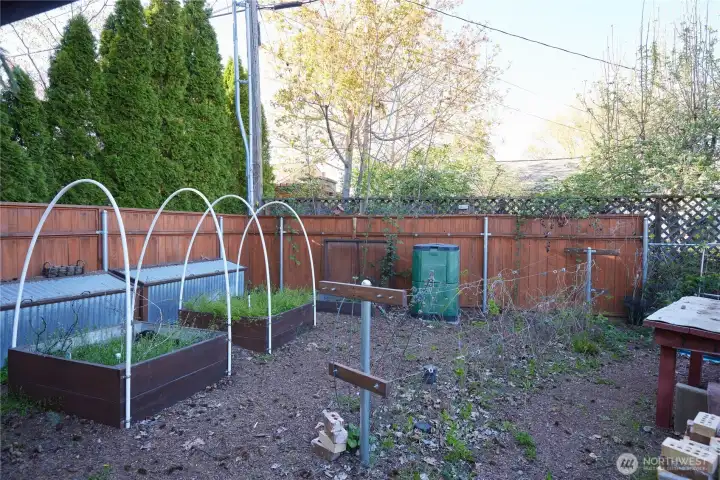 garden with raised beds