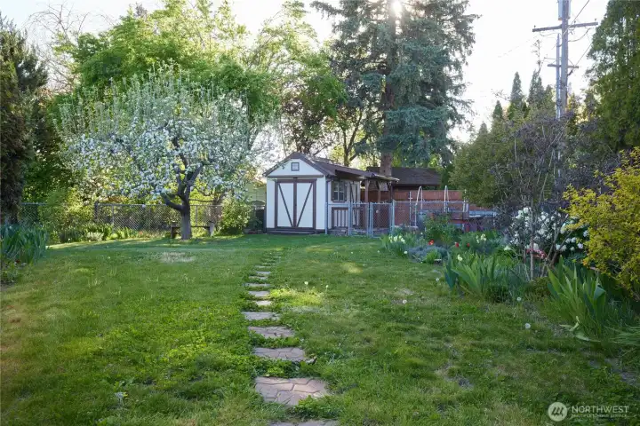 back yard w view of shed