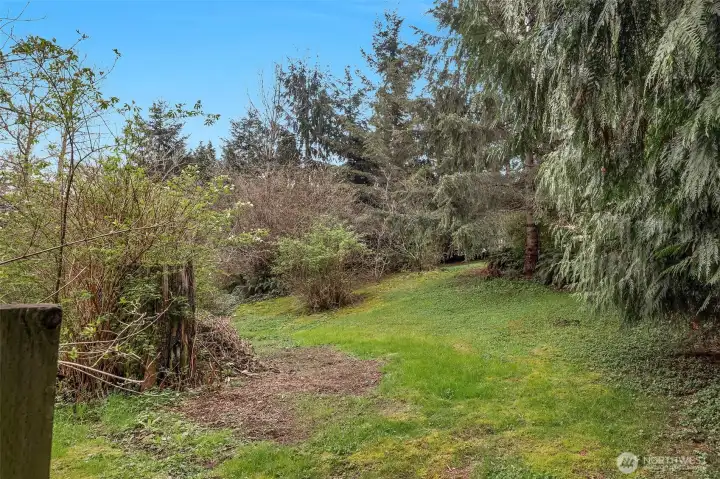 Second fenced pasture area.