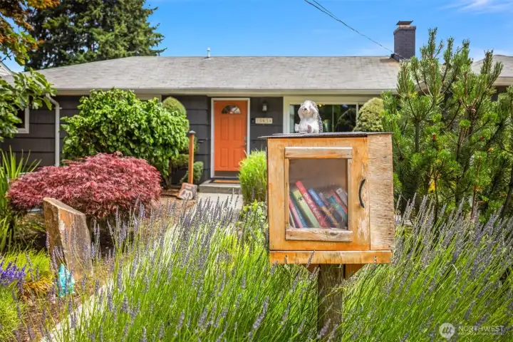 Sweet neighborhood small library surrounded by mature lavender.