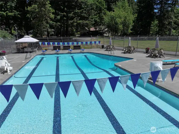 Be poolside this summer - you can even join the swim team!
