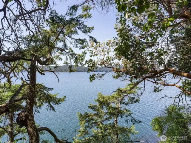 So many great views of East Sound