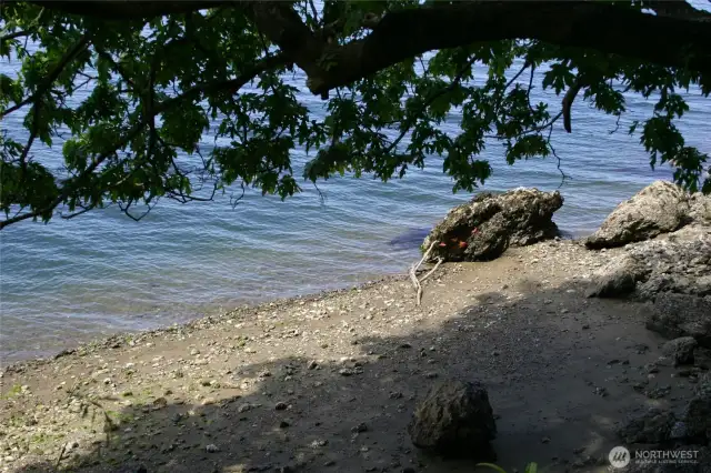 Low tide at one of pocket beaches - do you see the sea stars?