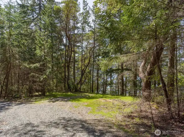 Upper end of the driveway at Sunlight Cove Road.  Park here and walk down to the waterfront.