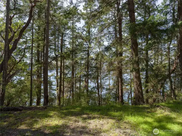 View from the upper portion of the property.