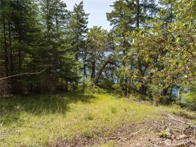 View from the end of the driveway