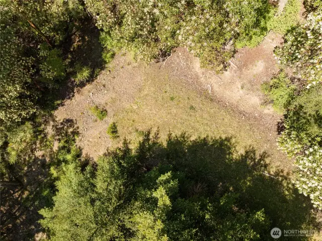 Partially cleared potential building site