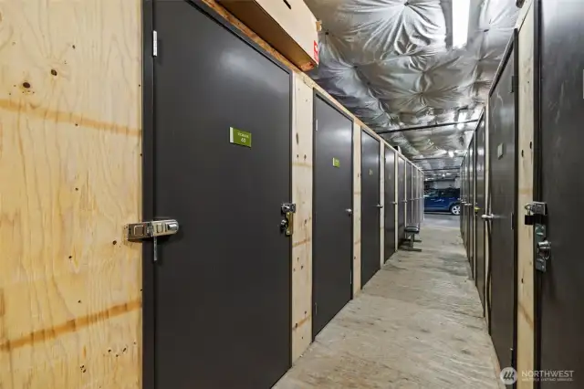 Extra Storage Unit in Garage