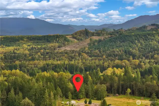 NW Corner of the treed property at bottom center.
