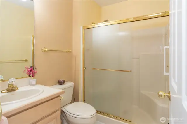 tub and shower on lower level