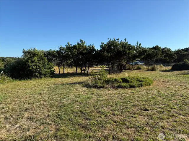 Level oversized lot ready for development.