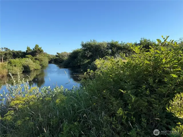 Fishing, wildlife watching, just relaxing by the water.