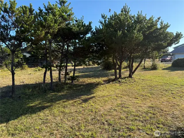 Trees border the property.