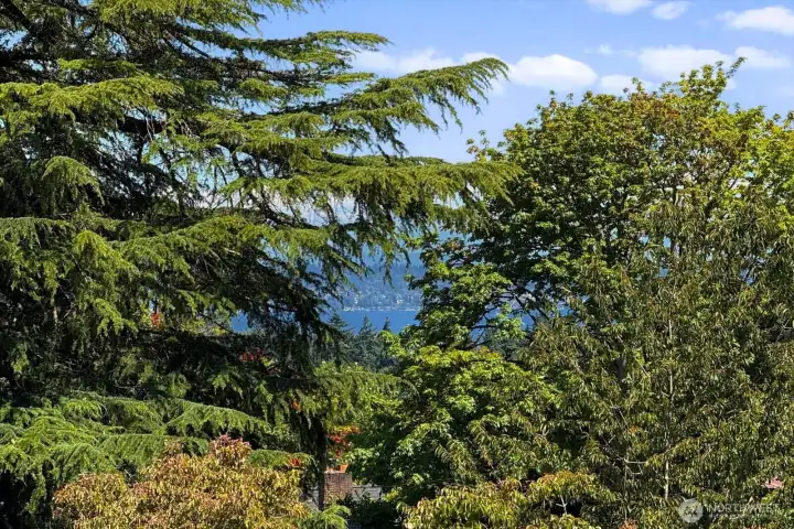 View from primary suite