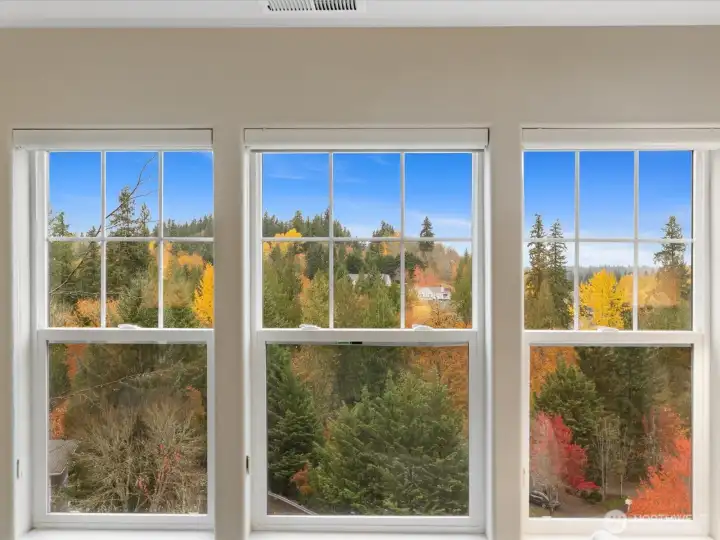 View from Living Room