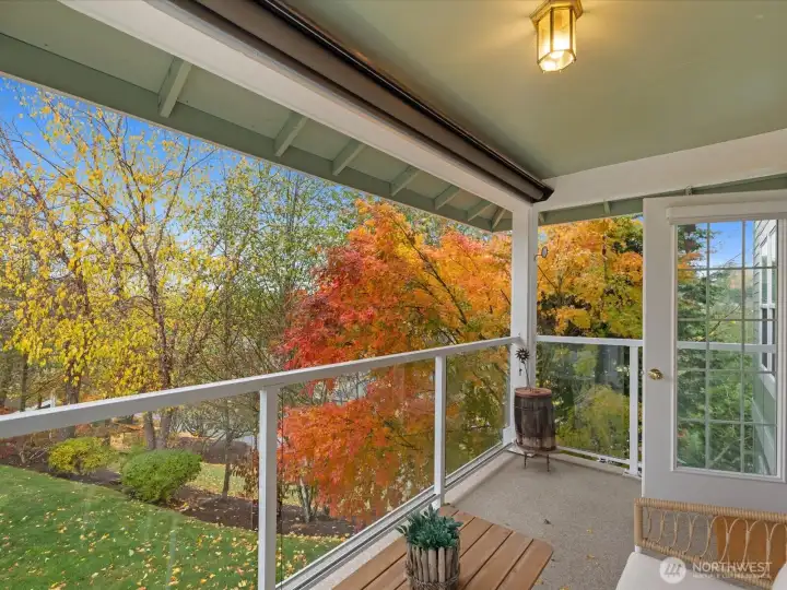 View of the Gorgeous Grounds in Forest Village