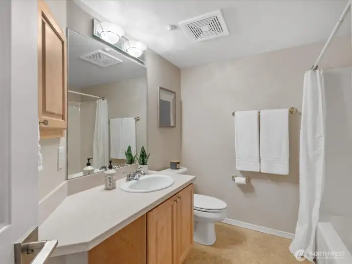 Guest Full Bathroom