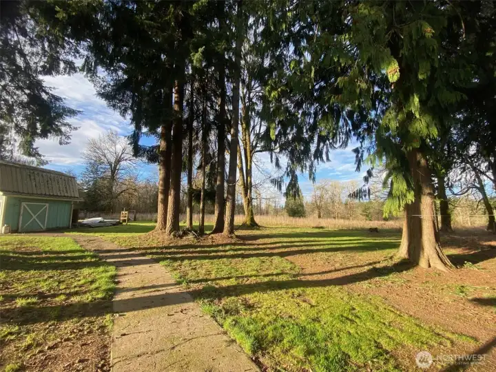 Looking from covered back deck towards rear pasture
