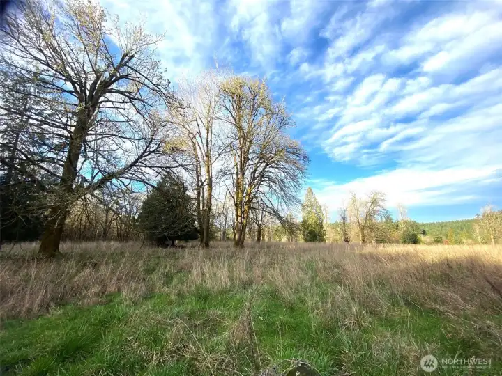 Back grazing/pasture area