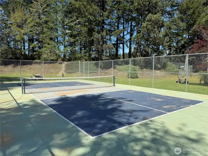 Pickleball court in community park