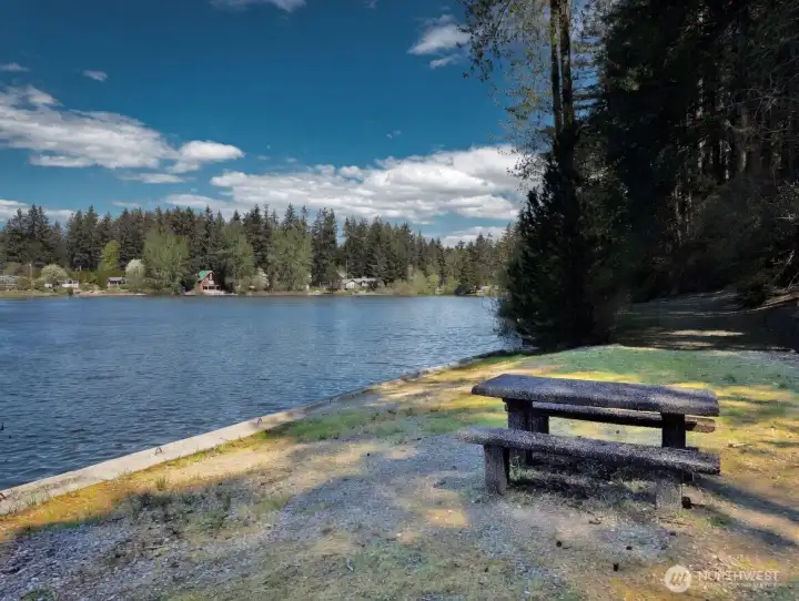 Lakeside at the community park