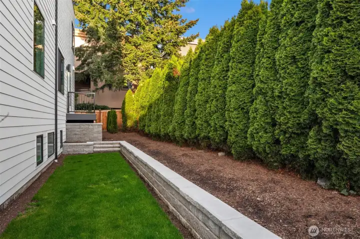 Side yard. Perfect amount of space for private hangout, play or your pets!