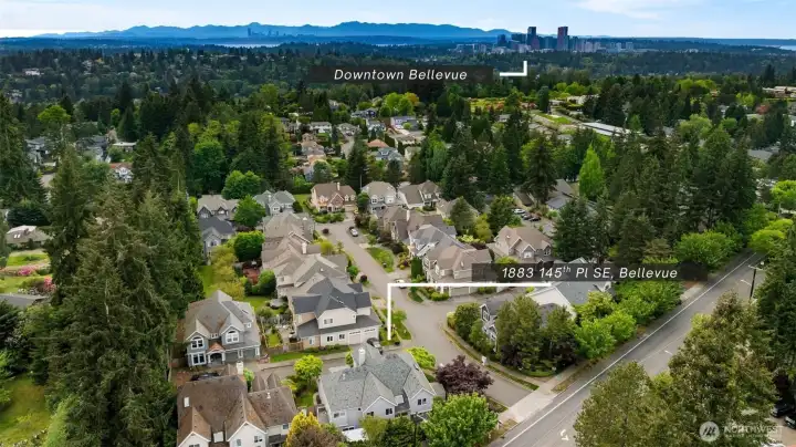 Overhead view provides a comprehensive look at the home and surrounding landscape.