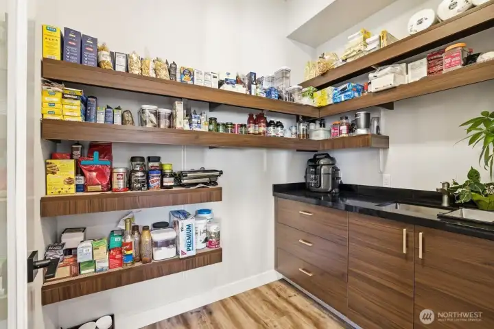 Oversized walk-in pantry with sink and storage.