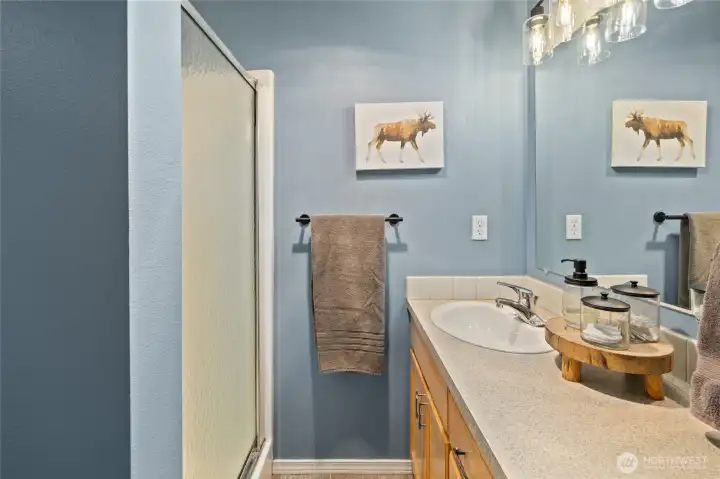 Lower level bathroom