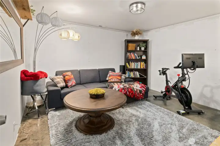 Lower level bonus room