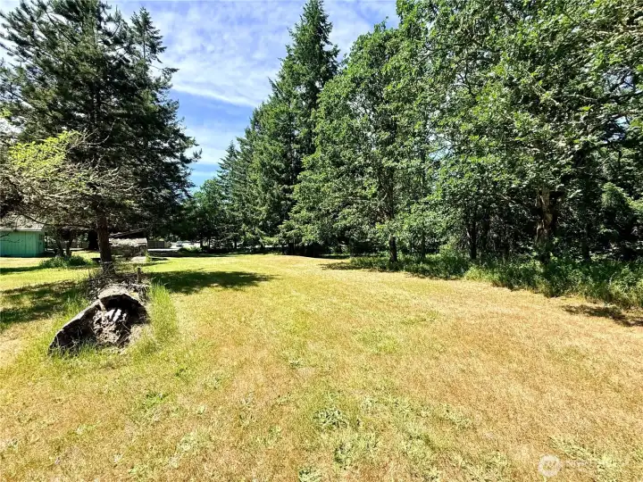 More of the property
