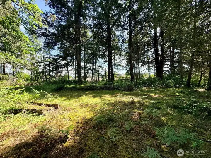 Headed towards the back of the property