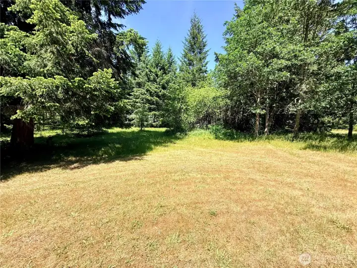 Another pasture view.