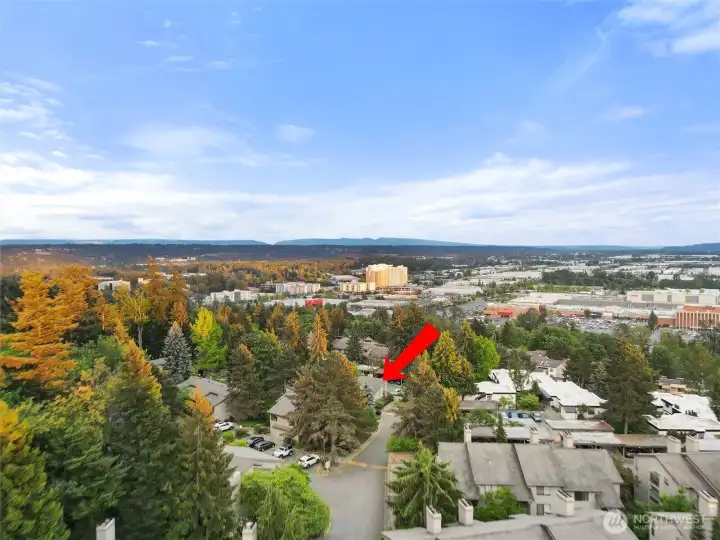 As you can see, you're tucked in the trees, but still close to everything! As you can see, you're tucked in the trees, but still close to everything!