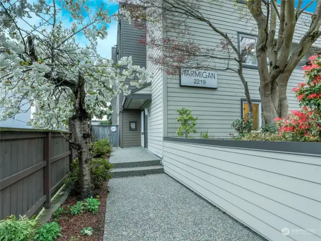 Beautiful main entry through the cherry trees.