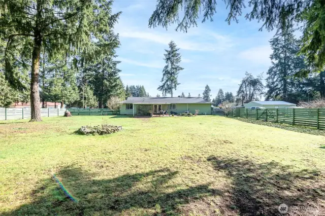 Spacious Back Yard