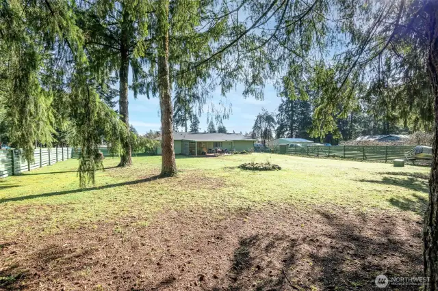 Lovely Back Yard