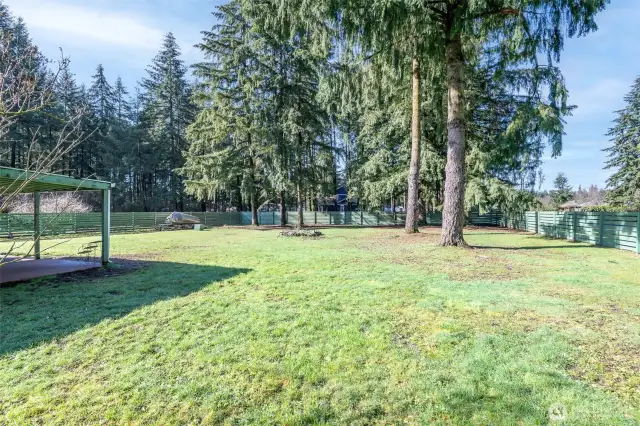 Bring Your Ideas To Complete The Back Yard