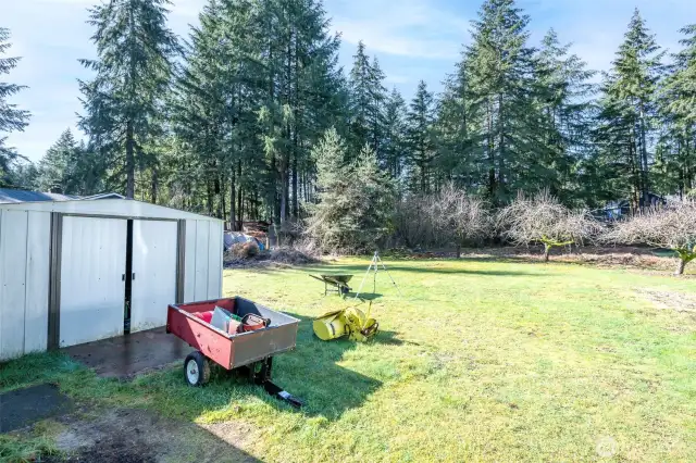 Shed And Southern Portion Of Property