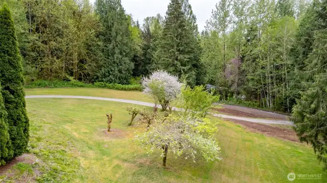 View from the front of the home looking out towards Innis Creek Road.