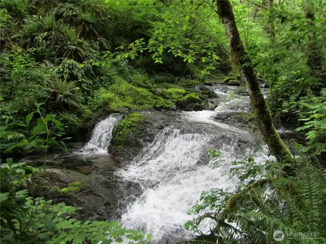 View - Creek