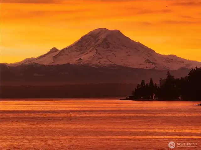Nothing short of extraordinary, this home was featured on HGTV’s Beach Hunters, this stunning NW Estate offers vacation-style living every day. Very rare opportunity to own a truly magical property: Sparkling waterfront with commanding Rainier/Sound/Cascade VIEWS & sunrises/eagles/seals/orcas is where nature & privacy converge for the ultimate luxury escape. Spacious interiors w/4 bedrooms & 3 flexible bonus spaces; Private entry full 2-bed MIL. Tie up to your own buoy, beachcombing and adventures & Seattle views on this epic 150 feet of waterfront. Immerse yourself in a top Puget Sound Island known for its excellent amenities and true Island Life feel while enjoying all the paradise this property offers! Close to the Seattle ferry & town.