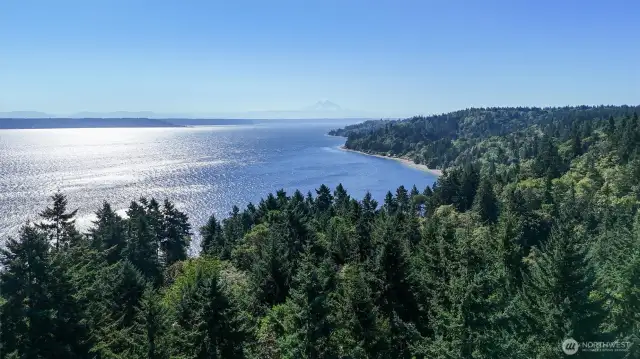As you can see your luxury dream estate is surrounded by the forest and the seclusion and driveway to the house will blow you away. Don't miss this once in a lifetime opportunity to "live the life that dreams are made of."