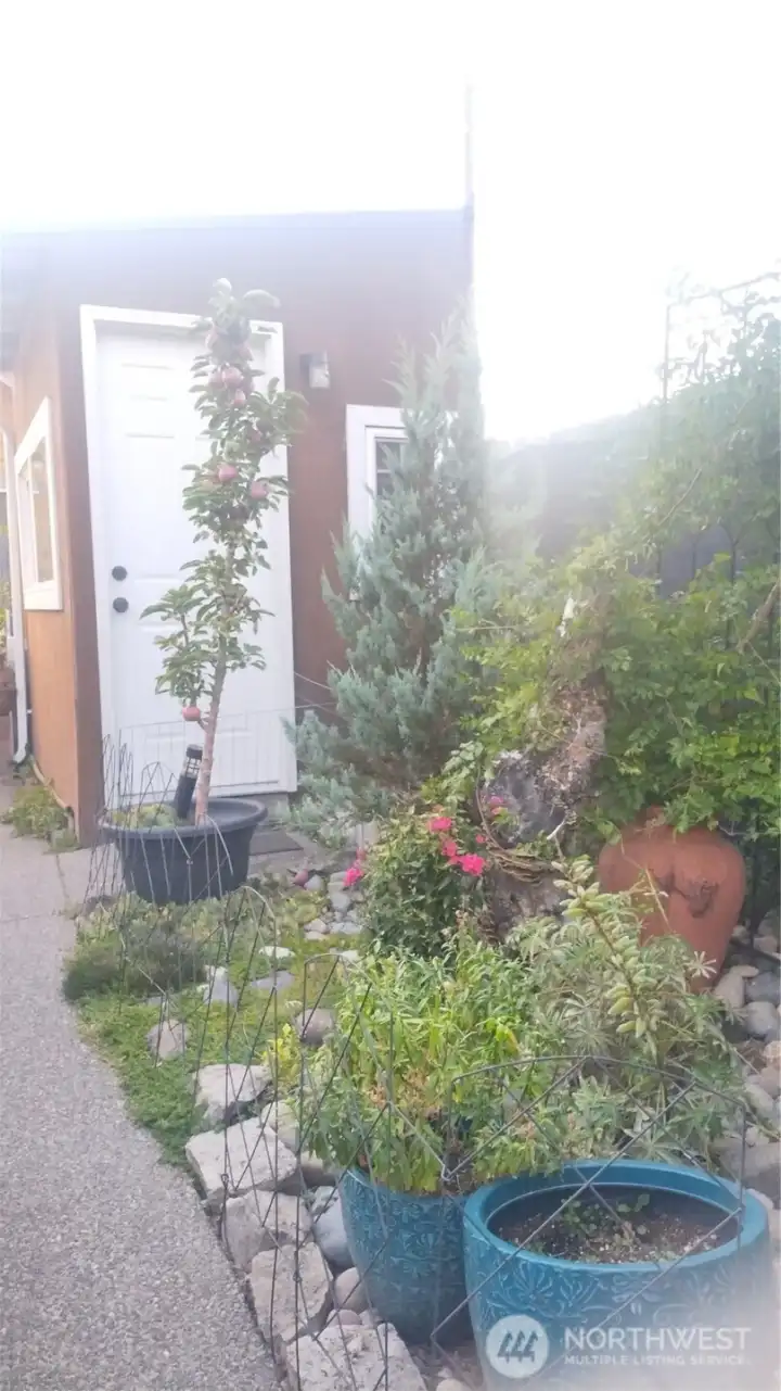 Detached Garden Shed with two windows and regular, raised panel front door. Garden storage shed is located on the far right side of the backyard next to the path and succulent garden.