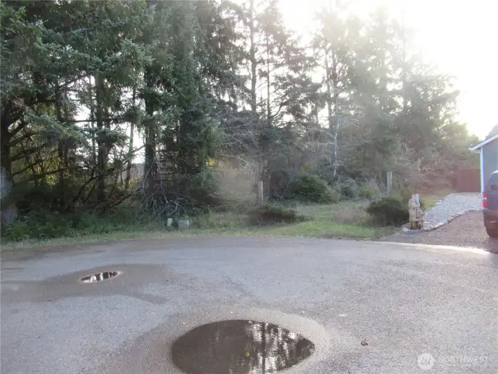 HERE IS THE PROPERTY ON SYCAMORE COURT!  SELECTIVELY CLEAR THE PROPERTY FOR AN RV LOT OR BRING YOUR BUILDING PLANS!