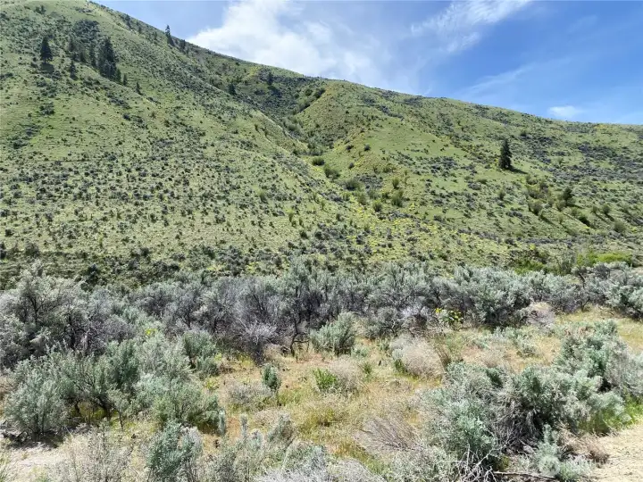 Water and Power at the street