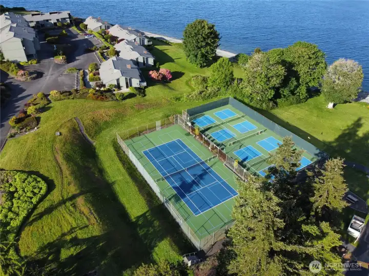 Beach Club Tennis and Pickle Ball Courts