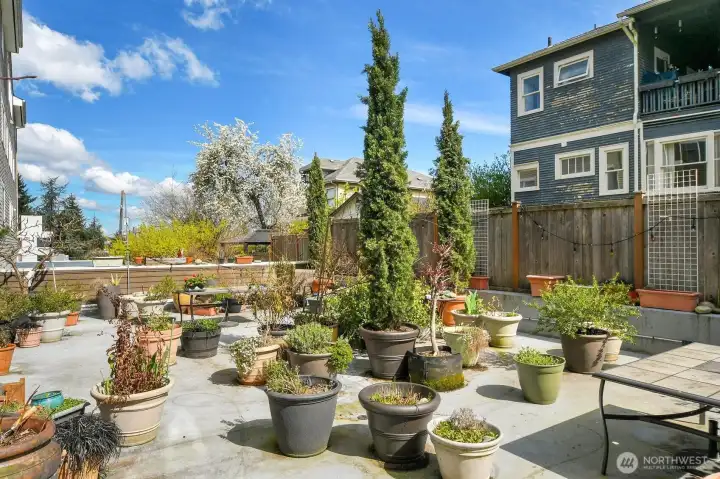 The Embassy building hosts this giant and sweet community outdoor space.